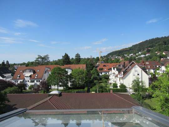 Objekt Blick Dachspitz (Norden)